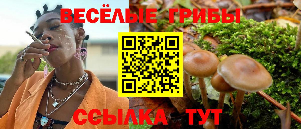 Псилоцибиновые грибы MAGIC MUSHROOMS  Вход с VPN  Ангарск 