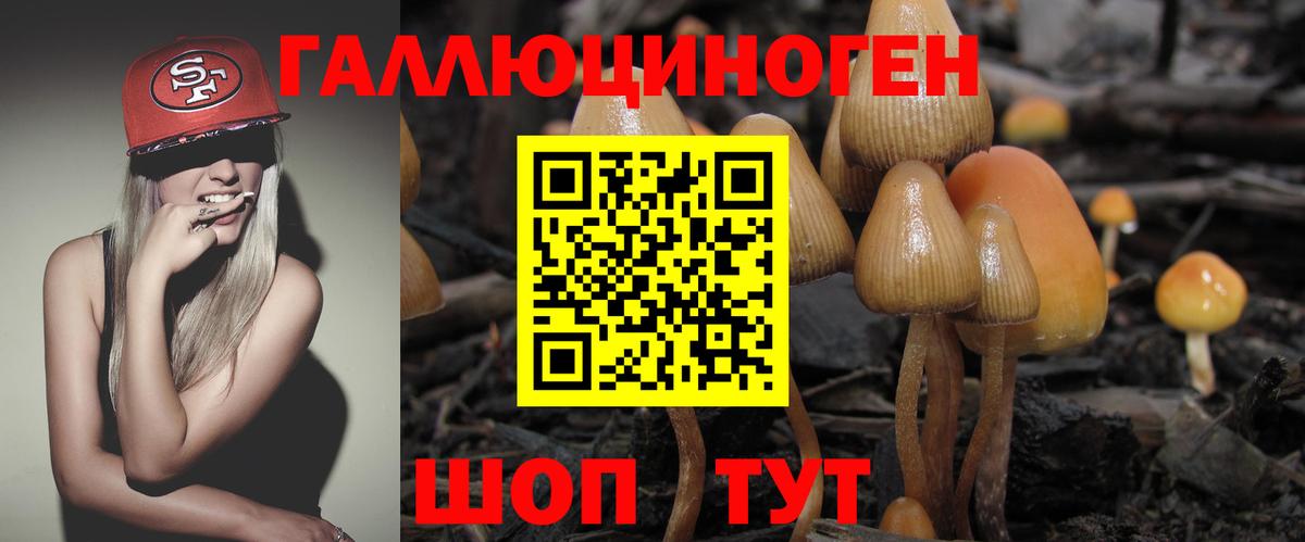 Псилоцибиновые грибы GOLDEN TEACHER Ангарск